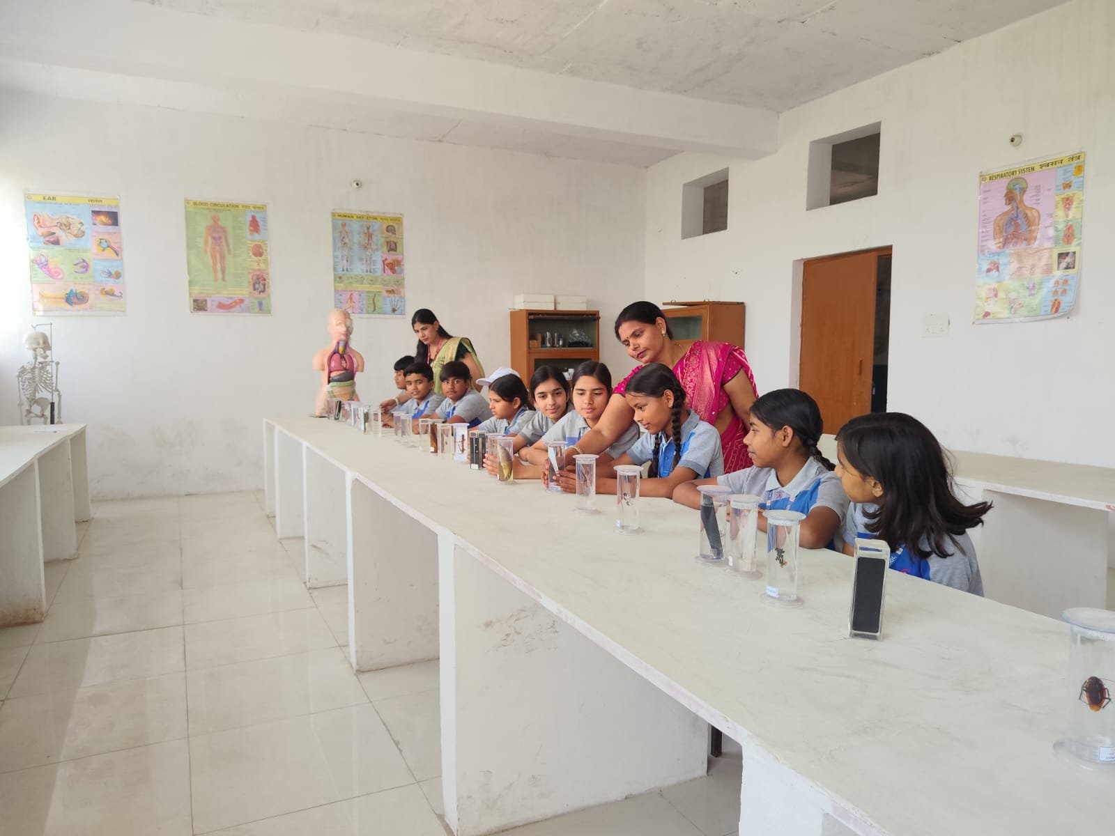Student Activity