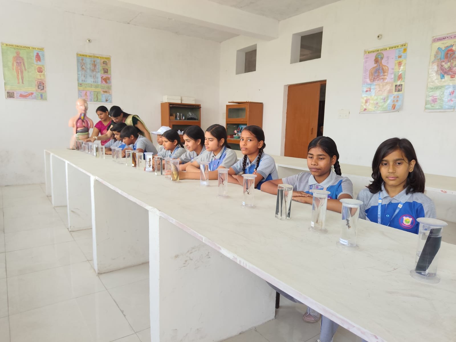Lab Activity